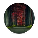 yanfind Ceramic Coasters (round) Hmetosche Forest Road Trees Woods Sunset Autumn Forest Dawn Pathway Scenic Family Game Intellectual Educational Game Jigsaw Puzzle Toy Set