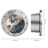 yanfind Timer Lovely Images Penh Shoot Abyssinian Pictures Pet Kitten PNG Phnom Cambodia Cat 60 Minutes Mechanical Visual Timer
