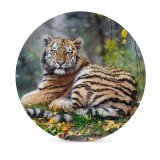 yanfind Ceramic Coasters (round) Tambako Jaguar Young Tigress Carnivore Autumn Leaves Grass Wild Big Cat Family Game Intellectual Educational Game Jigsaw Puzzle Toy Set