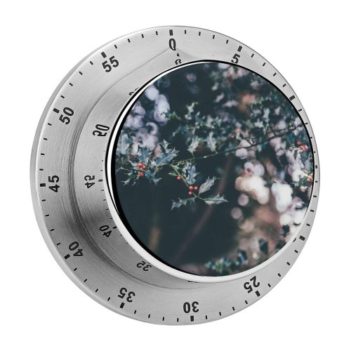 yanfind Timer Images Christmas Flora HQ Pond  Wallpapers Plant Free Winter Pictures Cherry 60 Minutes Mechanical Visual Timer
