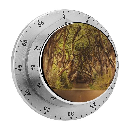 yanfind Timer Dorothe Avenue Trees Woods Forest Path Road Landscape Sunlight Atmospheric 60 Minutes Mechanical Visual Timer