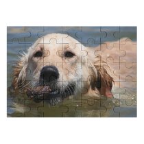 yanfind Picture Puzzle Golden Dog Swim Beach Fetch Pet Vertebrate Canidae Carnivore Sporting Snout Family Game Intellectual Educational Game Jigsaw Puzzle Toy Set