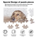yanfind Picture Puzzle Dog Golden Sweet Canidae Carnivore Snout Nose  Sporting Puppy Family Game Intellectual Educational Game Jigsaw Puzzle Toy Set
