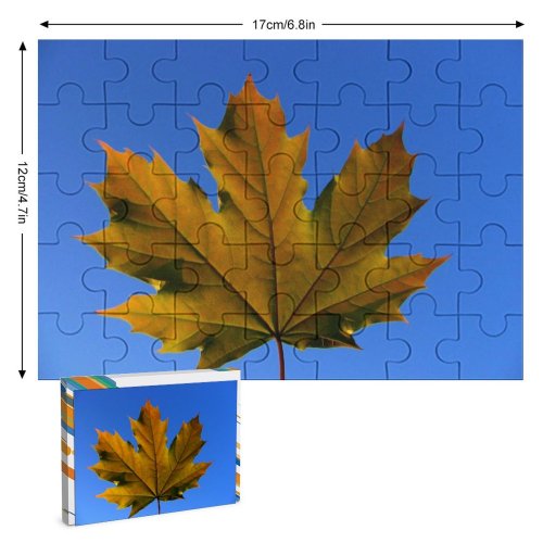 yanfind Picture Puzzle Leaf Sky Maple Tree Plant Woody Plane Flowering Family Game Intellectual Educational Game Jigsaw Puzzle Toy Set