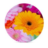 yanfind Ceramic Coasters (round) Skitterphoto Flowers Gerbera Daisy Flower Closeup Macro Blurred Selective Focus Vibrant Colorful Family Game Intellectual Educational Game Jigsaw Puzzle Toy Set
