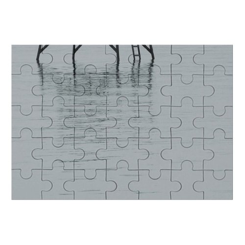 yanfind Picture Puzzle  Lake Silence Calm Bird Reflection Shorebird Beak Wildlife Sea Family Game Intellectual Educational Game Jigsaw Puzzle Toy Set