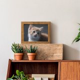 yanfind Picture Puzzle Cat Kitten Pet Cute Cat Portrait Fur Baby Cat Family Game Intellectual Educational Game Jigsaw Puzzle Toy Set