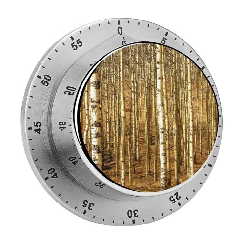 yanfind Timer Tree Trees Forest Woods Relaxing Peace Grass Soothing Clean   Birch 60 Minutes Mechanical Visual Timer