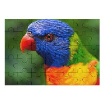 yanfind Picture Puzzle Parrot Colorful Bird Multicolor Closeup 5K Family Game Intellectual Educational Game Jigsaw Puzzle Toy Set