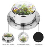 yanfind Timer Images Floral Vines Flora Spring Wildflowers California Flowers Aster Wallpapers Mimosa Plant 60 Minutes Mechanical Visual Timer