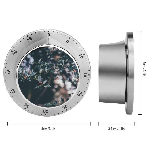 yanfind Timer Images Christmas Flora HQ Pond  Wallpapers Plant Free Winter Pictures Cherry 60 Minutes Mechanical Visual Timer