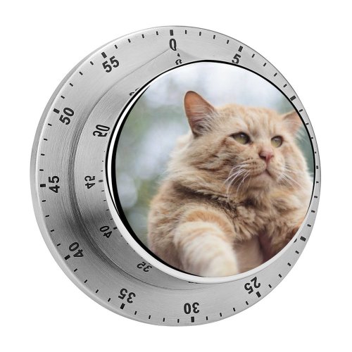 yanfind Timer Lovely Images Pet Manx Tom Pakistan Angry Plant Stock Free Islamabad Pictures 60 Minutes Mechanical Visual Timer