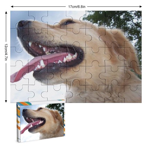 yanfind Picture Puzzle Dog Dogs Golden Vertebrate Canidae Facial Expression Snout Nose Carnivore Family Game Intellectual Educational Game Jigsaw Puzzle Toy Set