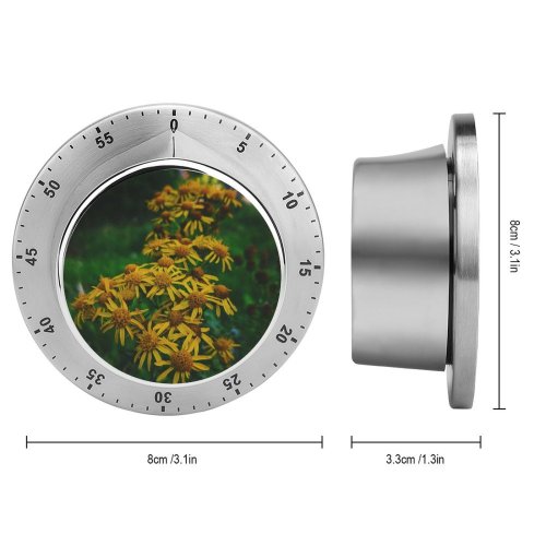 yanfind Timer Images Fall Autumn Petal Wallpapers Plant Asteraceae Outdoors Pollen Free Pictures Daisy 60 Minutes Mechanical Visual Timer