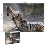 yanfind Picture Puzzle Zebra Vertebrate Terrestrial Wildlife Wilderness Snout National Park Organism Adaptation Family Game Intellectual Educational Game Jigsaw Puzzle Toy Set