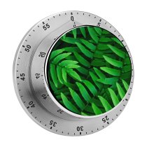 yanfind Timer Leaves Ferns Leaf Spring Closeup 60 Minutes Mechanical Visual Timer