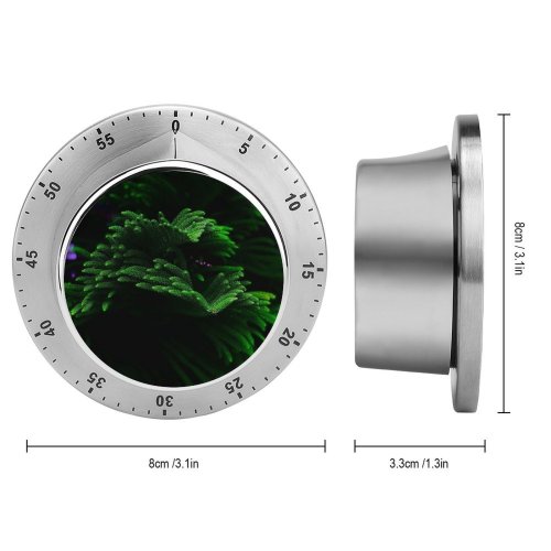yanfind Timer Plant Closeup Dark Selective Focus  Beautiful 60 Minutes Mechanical Visual Timer