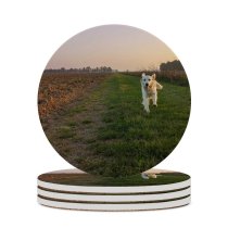 yanfind Ceramic Coasters (round) Ground Images Pet Veneto Fun Grassland Public Grass Plant Outdoors Pictures Walk Family Game Intellectual Educational Game Jigsaw Puzzle Toy Set