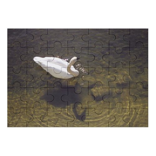 yanfind Picture Puzzle  Lake Golden Pond Ripples Reflection Refraction Silhouette Bird Duck Ducks Geese Family Game Intellectual Educational Game Jigsaw Puzzle Toy Set