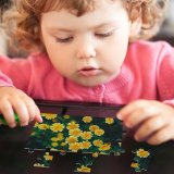 yanfind Picture Puzzle Daisy Flowers  Bloom Pollen 5K 8K Family Game Intellectual Educational Game Jigsaw Puzzle Toy Set