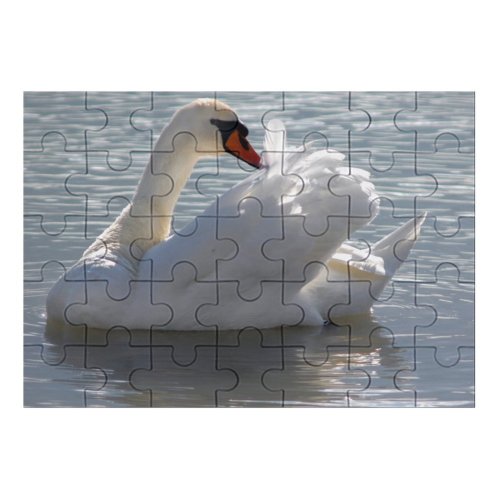 yanfind Picture Puzzle  Lake Balaton Ripples Preen Preening Cleaning Serene Peaceful Feather Feathers Beak Family Game Intellectual Educational Game Jigsaw Puzzle Toy Set