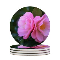 yanfind Ceramic Coasters (round) Geranium Images Rose Bud Petal Flowers Camelia Wallpapers Plant Garden Pollen Free Family Game Intellectual Educational Game Jigsaw Puzzle Toy Set