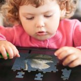 yanfind Picture Puzzle  Lake Quiet Bird Vertebrate Ducks Geese Swans Beak Waterfowl Reflection Family Game Intellectual Educational Game Jigsaw Puzzle Toy Set