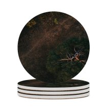 yanfind Ceramic Coasters (round) Top Unique Images Bush Land  Landscape  Wallpapers Plant Outdoors Tree Family Game Intellectual Educational Game Jigsaw Puzzle Toy Set