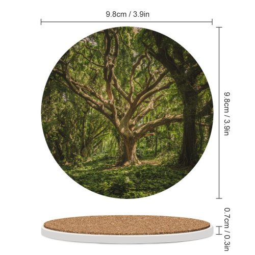 yanfind Ceramic Coasters (round) Images Land Flora HQ Landscape Public Wallpapers Fantasy Plant Outdoors Tree Forest Family Game Intellectual Educational Game Jigsaw Puzzle Toy Set