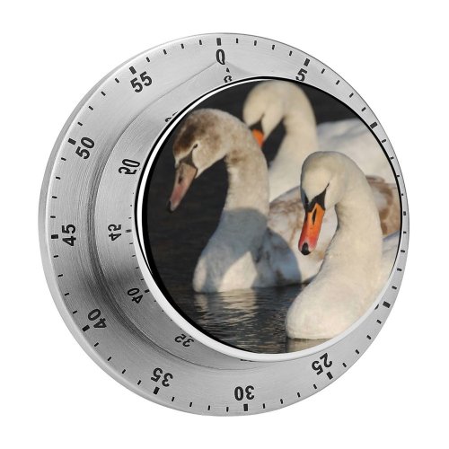 yanfind Timer  Winter Lake Elegant Bird Vertebrate Beak Ducks Geese Swans Duck Waterfowl 60 Minutes Mechanical Visual Timer