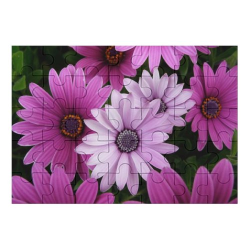 yanfind Picture Puzzle Daisy Flowers Purple Garden Closeup Bloom Family Game Intellectual Educational Game Jigsaw Puzzle Toy Set