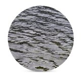 yanfind Ceramic Coasters (round) Waters Liquid  Ocean Sea Lake Leaf Reflection Plant Watercourse Tree Lily Family Game Intellectual Educational Game Jigsaw Puzzle Toy Set
