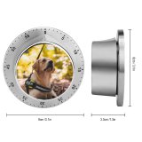 yanfind Timer Lovely Images Golden Wallpapers Forest Harness Pictures Dog Pet Free Strap 60 Minutes Mechanical Visual Timer