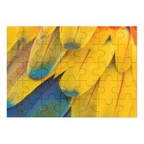 yanfind Picture Puzzle Zdeněk Macháček Abstract Macaw Feathers Multicolor Colorful Closeup Macro Drops Texture Scarlet Family Game Intellectual Educational Game Jigsaw Puzzle Toy Set