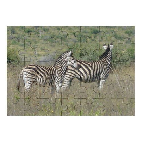 yanfind Picture Puzzle Zebras Zebra Wild Outdoors Africa Safari Pilansberg Terrestrial Wildlife Vertebrate Grassland Plant Family Game Intellectual Educational Game Jigsaw Puzzle Toy Set