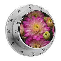 yanfind Timer Images Arrangement Anther Petal Flowers Dahlia Plant Pollen Stock Free Daisy Flower 60 Minutes Mechanical Visual Timer