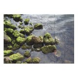 yanfind Picture Puzzle Rocks River  Stone Ripple Reflection Leaf Outdoors Rock Algae Watercourse Sea Family Game Intellectual Educational Game Jigsaw Puzzle Toy Set
