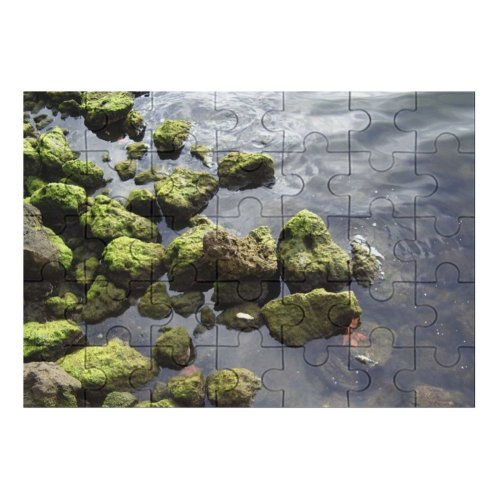yanfind Picture Puzzle Rocks River  Stone Ripple Reflection Leaf Outdoors Rock Algae Watercourse Sea Family Game Intellectual Educational Game Jigsaw Puzzle Toy Set
