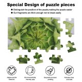 yanfind Picture Puzzle  Flower Spring Mayumi Leaf Plant Flowering Petal Stonecrop Family Family Game Intellectual Educational Game Jigsaw Puzzle Toy Set