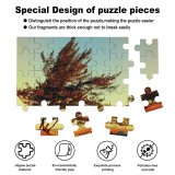 yanfind Picture Puzzle Atlântica Images Barra  Flora Landscape Sky Plant Car Da Tree Grussaí Family Game Intellectual Educational Game Jigsaw Puzzle Toy Set