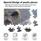 yanfind Picture Puzzle  Labut Zohor Slovakia Priehrada Lake Bird Ducks Geese Swans Waterfowl Beak Family Game Intellectual Educational Game Jigsaw Puzzle Toy Set