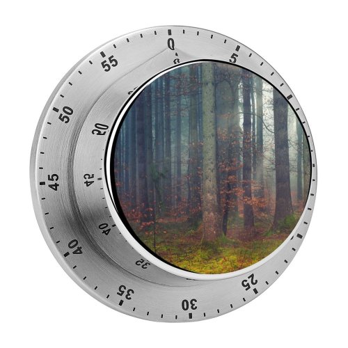 yanfind Timer Johannes Plenio Forest Woods Daylight Fall Dawn 60 Minutes Mechanical Visual Timer