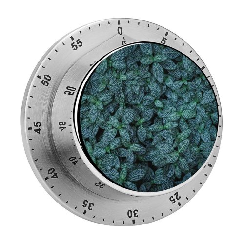 yanfind Timer Aaron Burden Leaves Plants Leaf Closeup 60 Minutes Mechanical Visual Timer