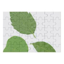 yanfind Picture Puzzle Leaf Tree Outdoors Selections Flower Plant Flowering Herb Mock Family Game Intellectual Educational Game Jigsaw Puzzle Toy Set