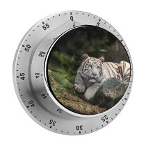 yanfind Timer Anek Suwannaphoom Bengal   Wild 60 Minutes Mechanical Visual Timer