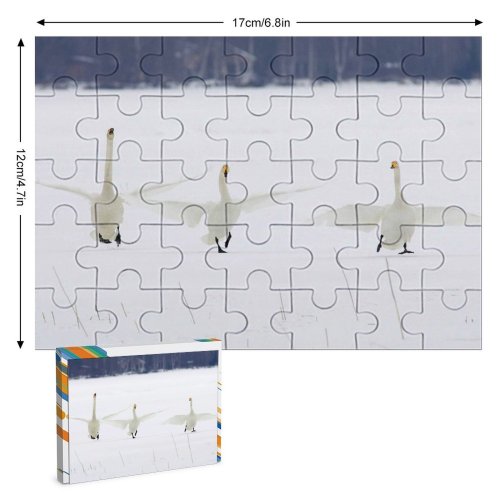 yanfind Picture Puzzle Whooper  Bird  Winter Snow Tundra Atmospheric Ducks Geese Swans Waterfowl Family Game Intellectual Educational Game Jigsaw Puzzle Toy Set