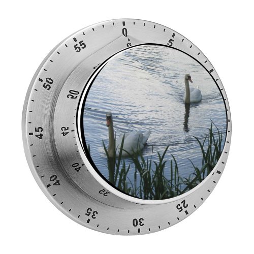 yanfind Timer  Swans Whooper Bird Birds Rivulet River Reed Wave  Mute Pair 60 Minutes Mechanical Visual Timer