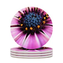 yanfind Ceramic Coasters (round) Flowers Daisy Closeup Macro Flowers Spring  Bloom Petals Selective Focus Flora Family Game Intellectual Educational Game Jigsaw Puzzle Toy Set