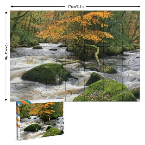 yanfind Picture Puzzle River Rocks Wood Trees Autumn Beautiful Beauty Branches Clean Countryside Fall Foliage Family Game Intellectual Educational Game Jigsaw Puzzle Toy Set
