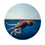 yanfind Ceramic Coasters (round) Social Wildlife Watching Tentacle Species Sailing Travel Adventure Beauty Point Environmental Family Game Intellectual Educational Game Jigsaw Puzzle Toy Set